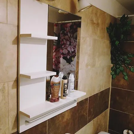 Borovi アパート *