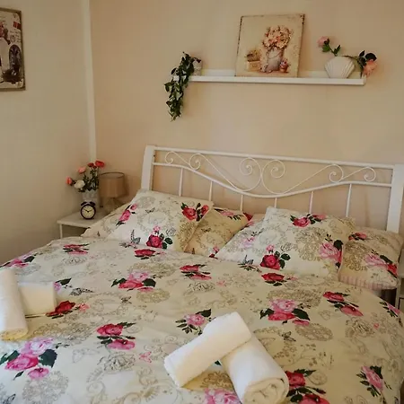 Apartman Borovi